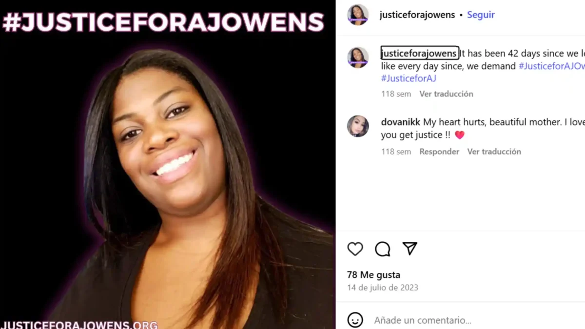 Ajika Owens: ¿Quién era la mujer que Susan Lorincz asesinó en La vecina perfecta de Netflix? La vecina perfecta Ajika Owens: ¿Quién es la mujer que Susan Lorincz asesinó?