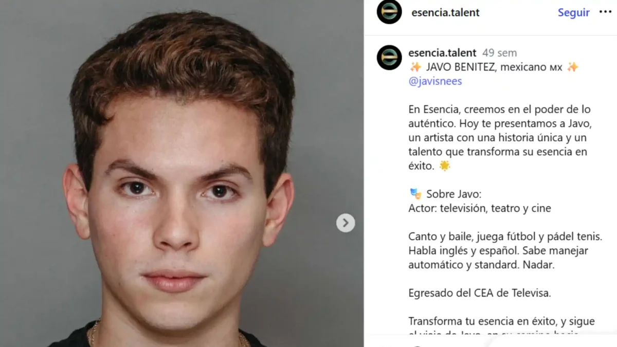 Domenica Montero actores y personajes